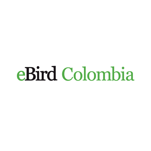 eBird Colombia image